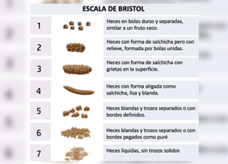 DIARIO MICCIONAL